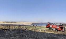 Diyarbakır'da çıkan yangında yaklaşık 1000 dekar buğday ve arpa ekili alan zarar gördü