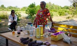 Edirne'de '8. Lavanta Tarla Günleri' etkinliklerle devam ediyor