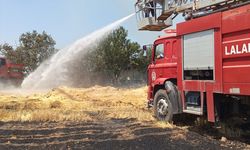 Edirne'de anızda başlayıp 3 metruk eve sıçrayan yangın söndürüldü