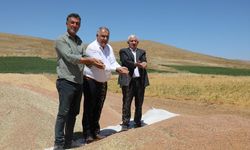 Elazığ'da kırmızı mercimekte 2 bin 574 ton rekolte bekleniyor