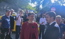 Fransız sanatçı Ememem, Ankara'da kaldırıma mozaik çalışması yaptı