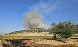 Gaziantep'te anız yakan kişiye para cezası
