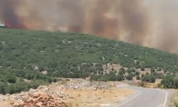 Gaziantep'te çıkan orman yangına müdahale ediliyor