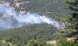 GÜNCELLEME 2 - Adana'da çıkan orman yangını kontrol altına alındı