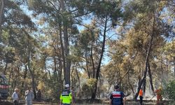 GÜNCELLEME 2 - Antalya'da iki bölgede çıkan orman yangınlarından biri kontrol altına alındı