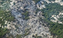 GÜNCELLEME 2 - Bodrum'da çıkan orman yangını kontrol altına alındı