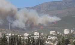 GÜNCELLEME 2 - Hatay'da ormanlık alanda yangın çıktı