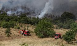 GÜNCELLEME 3 - Bursa'nın Yenişehir ilçesinde çıkan orman yangını tamamen kontrol altına alındı