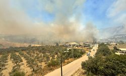 GÜNCELLEME 4 - Hatay'da ormanlık alanda yangın çıktı