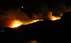 GÜNCELLEME 5 - Hatay'da ormanlık alanda yangın çıktı