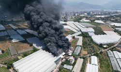 GÜNCELLEME - Antalya'da fide üretim tesisinde yangın çıktı