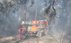 GÜNCELLEME - Antalya'da iki bölgede çıkan orman yangınına müdahale ediliyor