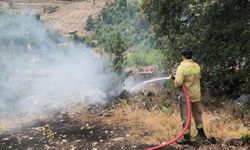 GÜNCELLEME - Antalya'da makilik alanda çıkan yangın kontrol altına alındı