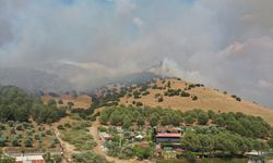 GÜNCELLEME - Aydın'da ziraat alanı ve makilikteki yangına müdahale ediliyor