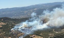 GÜNCELLEME - Balıkesir'de çıkan orman yangınına havadan ve karadan müdahale ediliyor