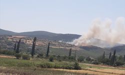 GÜNCELLEME - Balıkesir'in Kepsut ilçesindeki orman yangını kontrol altına alındı