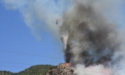 GÜNCELLEME - Bodrum'da çıkan orman yangınına müdahale ediliyor