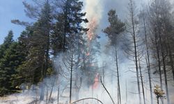 GÜNCELLEME - Bolu'nun Göynük ilçesinde çıkan orman yangınına müdahale sürüyor