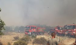 GÜNCELLEME - Çanakkale'de tarım arazisinde başlayıp ormana sıçrayan yangın kontrol altına alındı