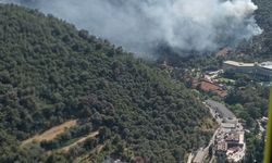 GÜNCELLEME - İzmir'in 2 ilçesinde çıkan yangınlar kontrol altına alındı