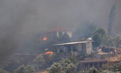 GÜNCELLEME - İzmir'in Menderes ve Seferihisar ilçeleri arasında orman yangını çıktı