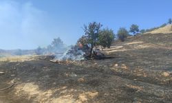 GÜNCELLEME - İzmir'in Torbalı ilçesinde çıkan orman yangını kontrol altına alındı
