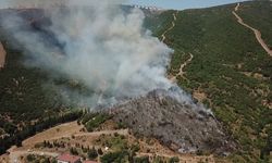 GÜNCELLEME - Kocaeli'de makilik ve ağaçlık alanda çıkan yangın kontrol altına alındı