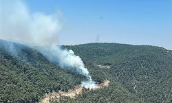 GÜNCELLEME - Manisa'da çıkan orman yangını kontrol altına alındı