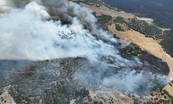 GÜNCELLEME - Manisa'nın Kula ilçesindeki orman yangını kontrol altına alındı