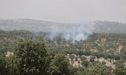 GÜNCELLEME - Mardin'de ormanlık alanda çıkan yangın kontrol altına alındı