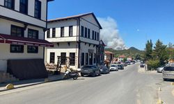 GÜNCELLEME - Sakarya'da ormanlık alanda çıkan yangına müdahale ediliyor