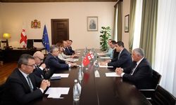 Gürcistan Parlamentosu Başkanı Papuaşvili, TBMM heyetini kabul etti