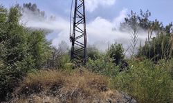 Hatay'da ormanlık alanda çıkan yangın söndürüldü