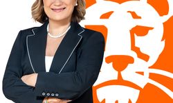 ING Türkiye'de üst düzey atama