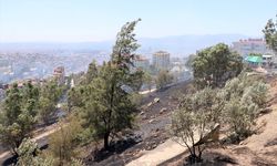 İzmir'de iki ilçede otluk alanda çıkan yangın kontrol altına alındı