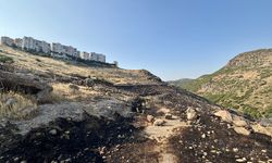 İzmir'de otluk ve ağaçlık alanda çıkan yangın söndürüldü