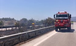 İzmir'de zeytinlik alandan çıkan yangın kontrol altına alındı