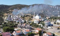 İzmir'in Dikili ilçesinde çıkan yangına müdahale ediliyor