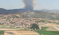 İzmir'in Foça ilçesinde çıkan orman yangınına müdahale ediliyor