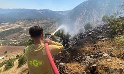 Kahramanmaraş'ta çıkan orman yangınını söndürme çalışmaları sürüyor