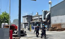 Kocaeli'de çelik döküm fabrikasında çıkan yangın söndürüldü