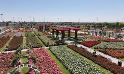 Konya'da 190 türün bulunduğu Karatay Mevlana Gül Parkı yeni sezonunu açtı