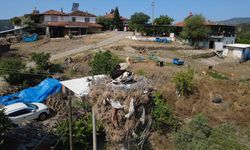 Manisa'da yıllardır aynı direğe yuva yapan leylekler için enerji hattının yeri değiştirildi