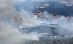 Manisa'nın Kula ilçesindeki orman yangınına müdahale ediliyor