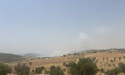 Mardin'de ormanlık alanda çıkan yangına müdahale ediliyor