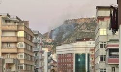 Mardin'de tarihi kale eteklerinde çıkan örtü yangını kontrol altına alındı