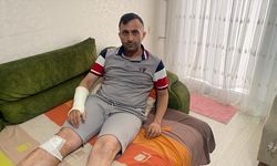 Mersin'de sahipsiz köpeklerin saldırdığı kişi yaralandı