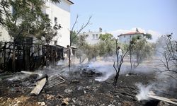Muğla'da odunlukta başlayıp zeytinliğe sıçrayan yangın söndürüldü