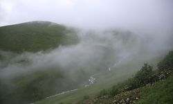 Rize'de '20. Dağ Horozu Şenliği' düzenlendi