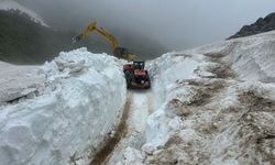 Rize'de haziran ayında karla mücadele sürüyor